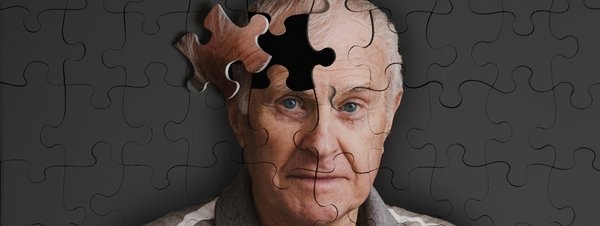 385los-seres-humanos-introducimos5439996488851351706917600226