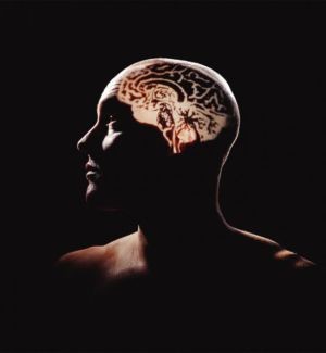 472124200902193406057vyqsj06wc