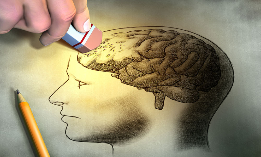 942cientificos-descubren-como-borrar-los-recuerdos