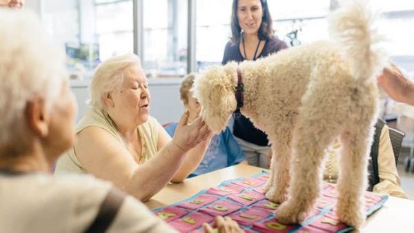 1375alzheimer1alzheimeruniversaljpg1718483347