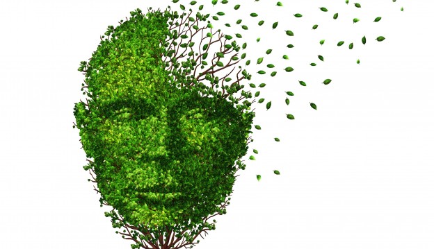 1529alzheimer-624x359