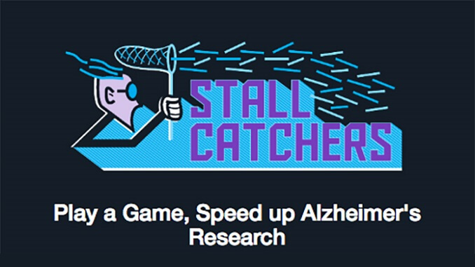 1565stallcatchermain