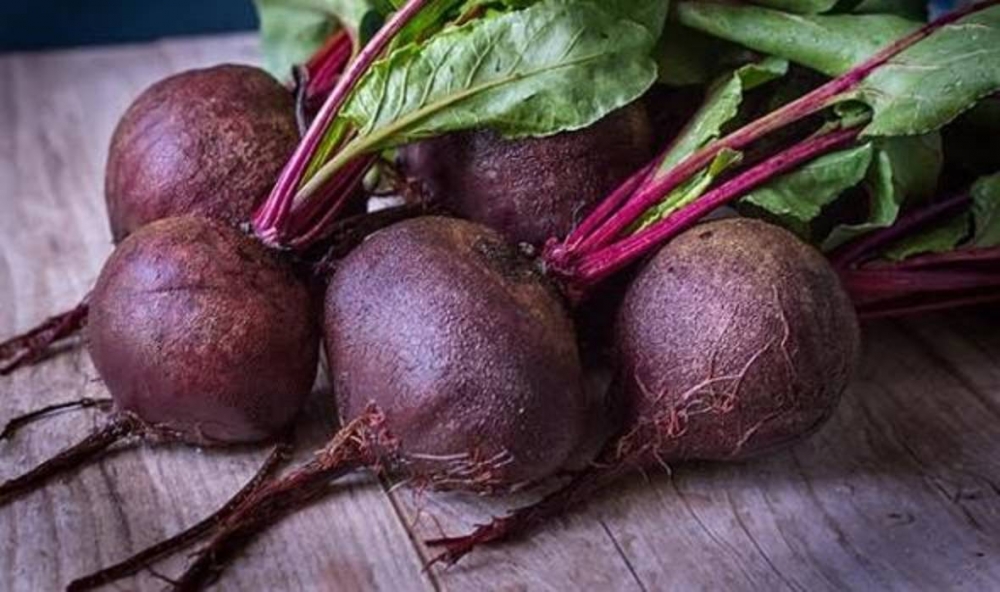 1752remolacha-kiug-1240x698abc