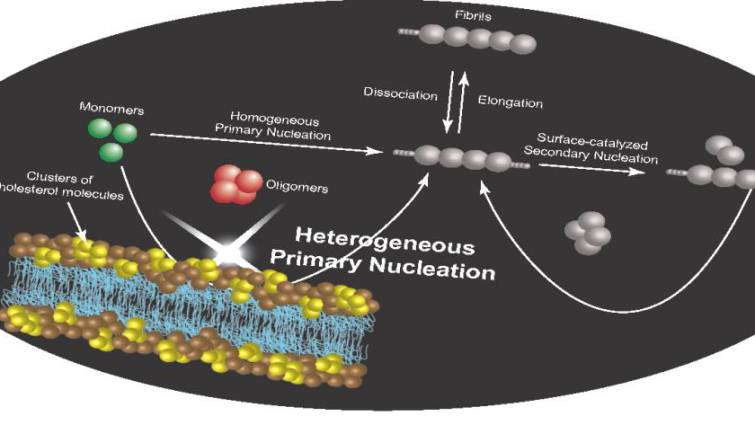 1812imagecontent814056820180507201442