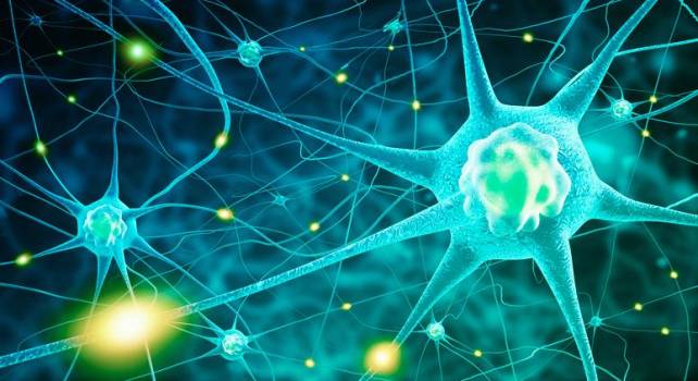 2494gettyimages-47976609460056020190628115136