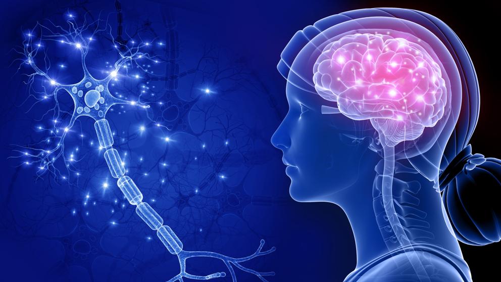 2530imgsmauri20190722-134024imageneslvgettygettyimages-713786303-ky1b-hztgykhlka2dvo3i