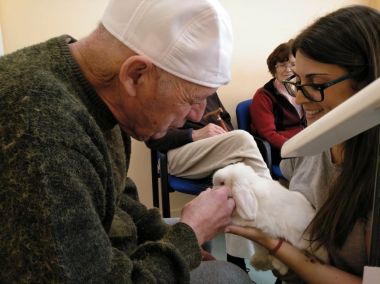 2470whatsappimage2019-03-08at142334