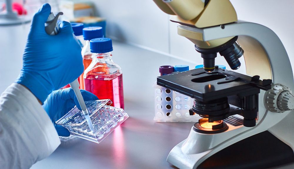 27341140-stem-cell-clinicsimgcacherev2b90632d4b938404a080be3a63903aa1