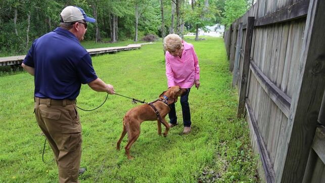 2838herramienta-proteger-enfermos-alzheimer-floridaediima2020050800094