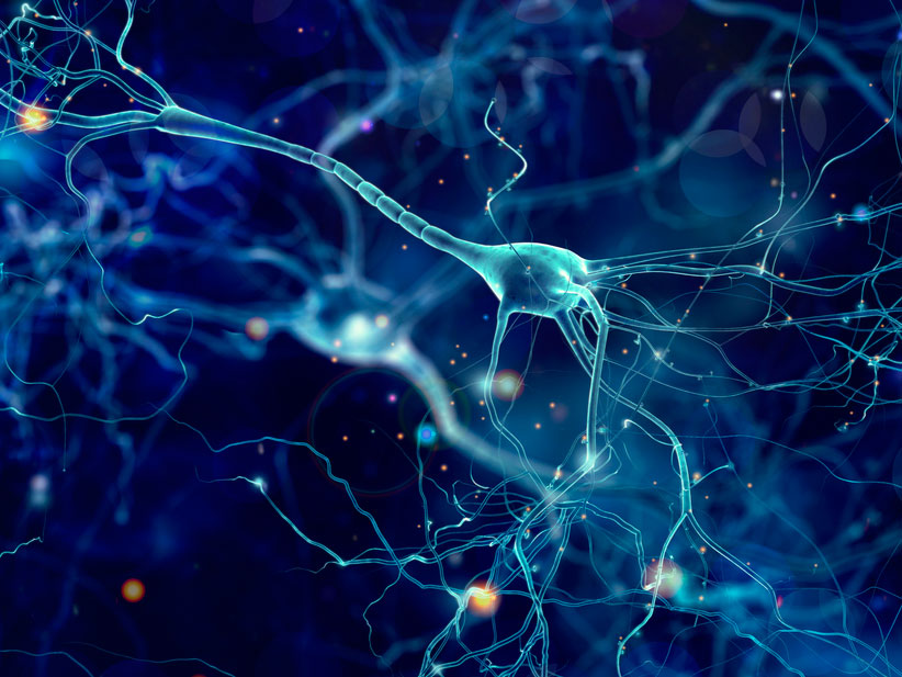 2907enfermedad-de-alzheimer