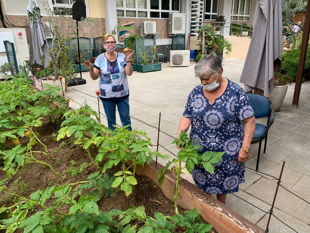 305722-06-20-aloiscornella-2