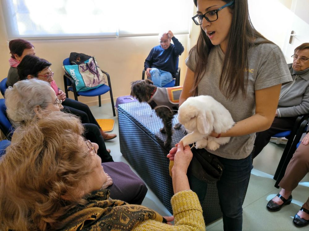 Ter+àpia amb animals al Centre Alois de Molins de l'AFA Baix Llobregat.