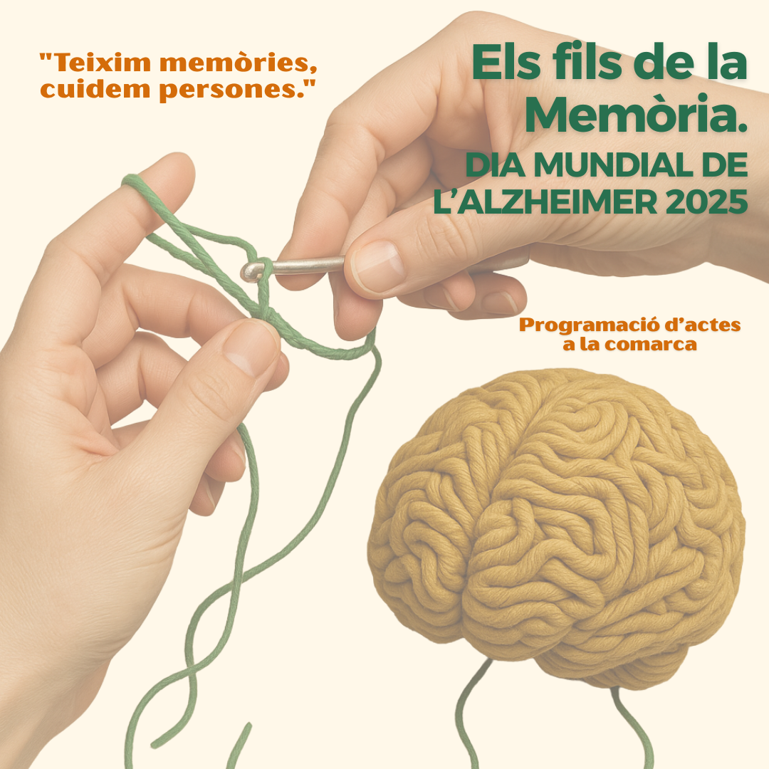 Internet Página Web Búsqueda Online Publicación Naranja Redes Sociales (002)